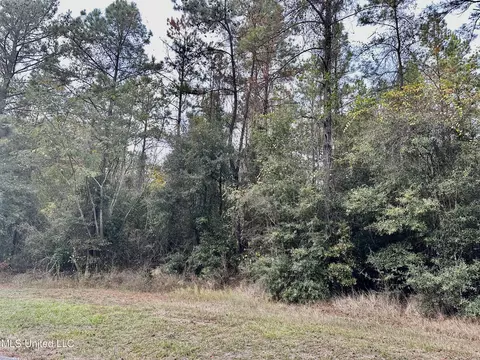 Twin Creek Rd. Road, Lucedale, MS 39452 photo 3