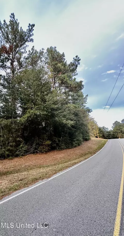 Twin Creek Rd. Road, Lucedale, MS 39452 photo 2