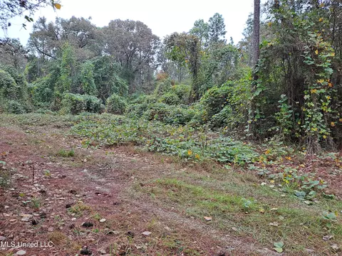 1 1 Acres Hwy 612, Lucedale, MS 39452