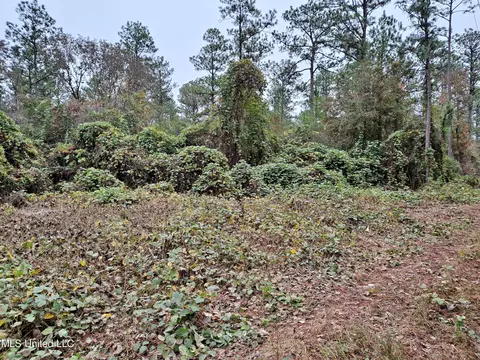 1 Acre Hwy 612, Lucedale, MS 39452