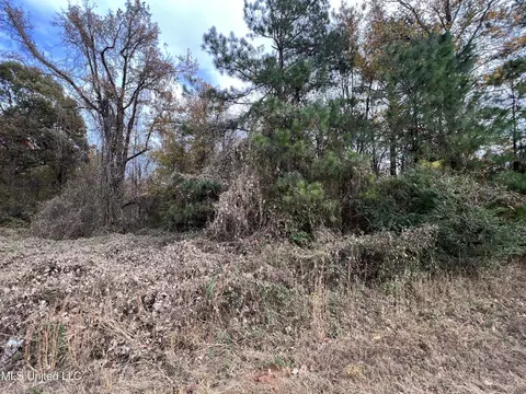 Bennett Circle, Byhalia, MS 38611