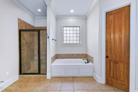 Bath - 147 Belle Pointe Dr, Madison, MS 39110 photo 10 of 13