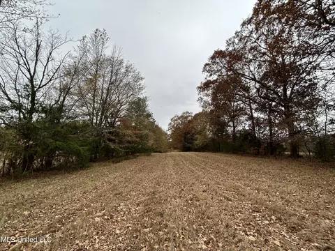County Rd 235, Bruce, MS 38915 photo 11
