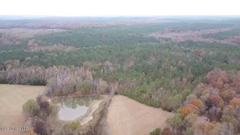 County Rd 235, Bruce, MS 38915 photo 5