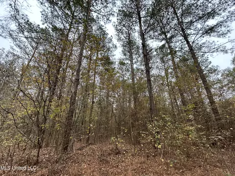 County Rd 235, Bruce, MS 38915 photo 7