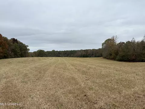 County Rd 235, Bruce, MS 38915 photo 12