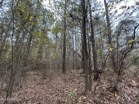 County Rd 235, Bruce, MS 38915 photo 9