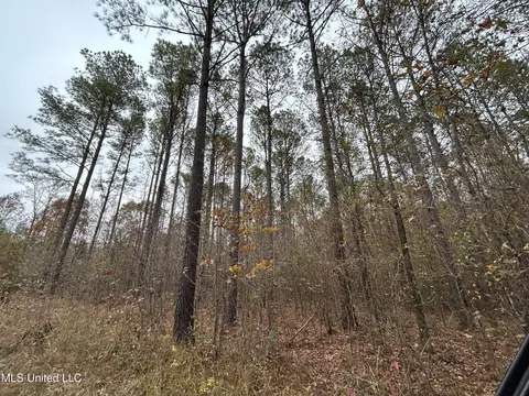 County Rd 235, Bruce, MS 38915 photo 8