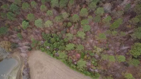 County Rd 235, Bruce, MS 38915 photo 2