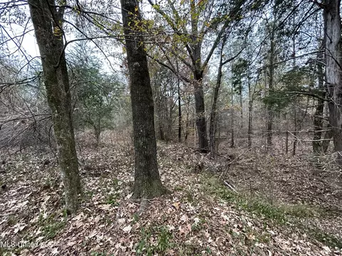 County Rd 235, Bruce, MS 38915 photo 6