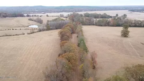 County Rd 235, Bruce, MS 38915 photo 3
