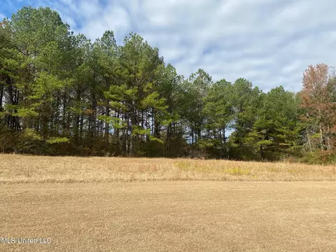 2553 Singleton Rd, Carthage, MS 39051 photo 12
