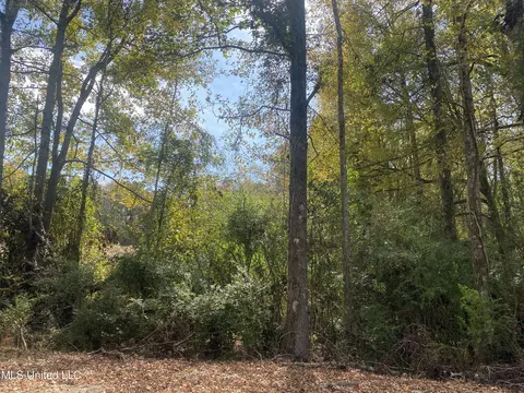 2553 Singleton Rd, Carthage, MS 39051 photo 39