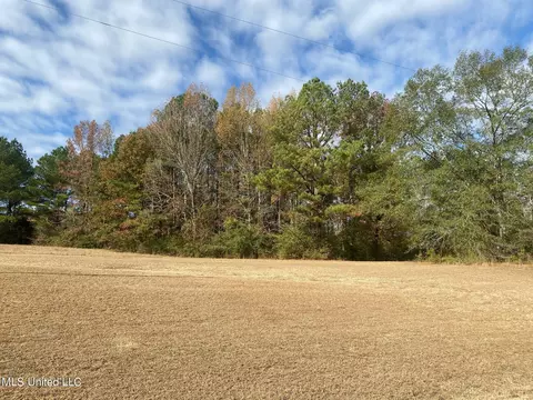 2553 Singleton Rd, Carthage, MS 39051 photo 34