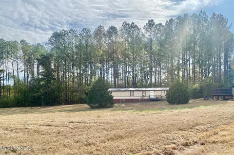 2553 Singleton Rd, Carthage, MS 39051 photo 31