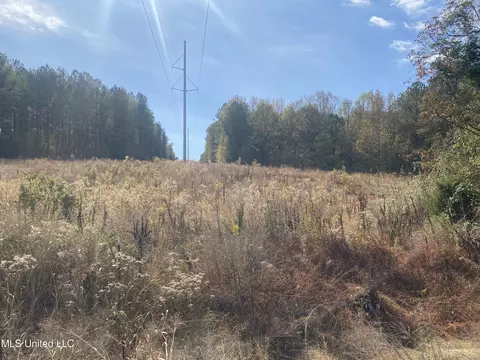 2553 Singleton Rd, Carthage, MS 39051 photo 37