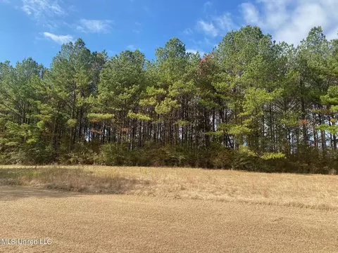 2553 Singleton Rd, Carthage, MS 39051 photo 27