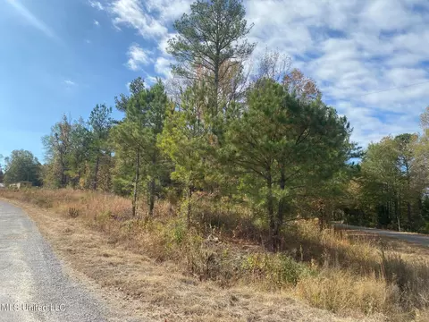 2553 Singleton Rd, Carthage, MS 39051 photo 35