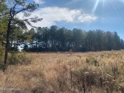 2553 Singleton Rd, Carthage, MS 39051 photo 36