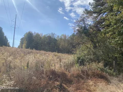 2553 Singleton Rd, Carthage, MS 39051 photo 38