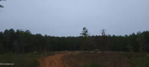 Gains Creek/brewer Road, Richton, MS 39476