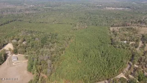 Stegall Road, Wesson, MS 39191