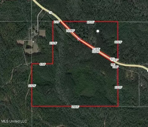 137 Acres Hwy 15, Perkinston, MS 39573