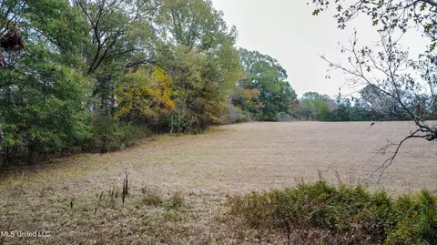 5340 Clinton-tinnin Rd, Jackson, MS 39209 photo 6