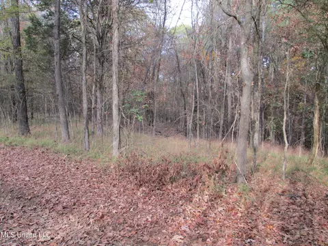 S Us-51, Hernando, MS 38632