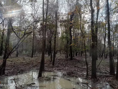 237 King Williams Rd, Indianola, MS 38751 photo 14