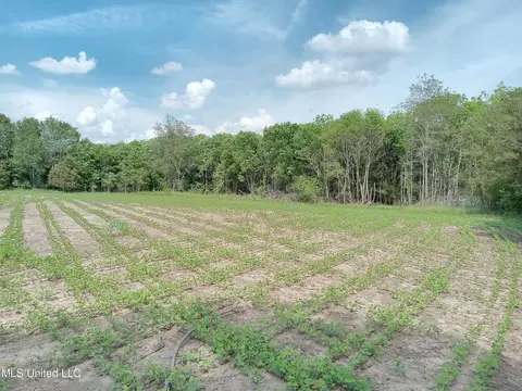 237 King Williams Rd, Indianola, MS 38751