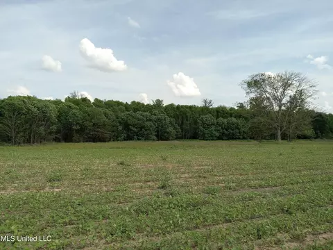 237 King Williams Rd, Indianola, MS 38751 photo 6