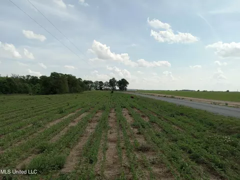 237 King Williams Rd, Indianola, MS 38751 photo 8