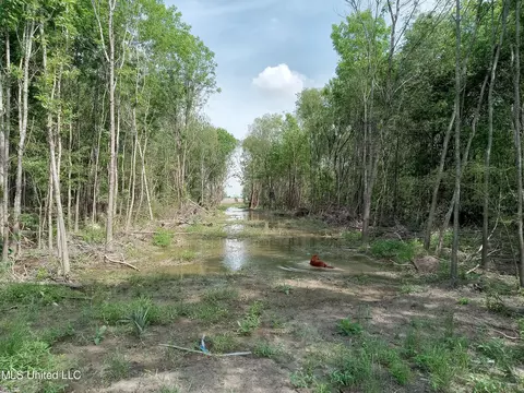 237 King Williams Rd, Indianola, MS 38751 photo 4
