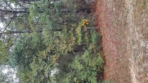 Timberbluff Drive, Lumberton, MS 39455
