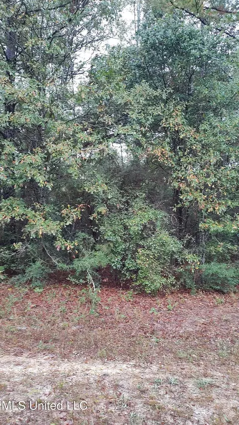 Timberbluff Drive, Lumberton, MS 39455 photo 3