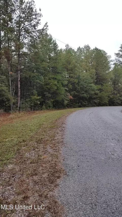 Timberbluff Drive, Lumberton, MS 39455 photo 5