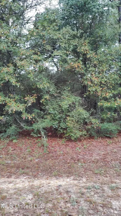 Timberbluff Drive, Lumberton, MS 39455 photo 2