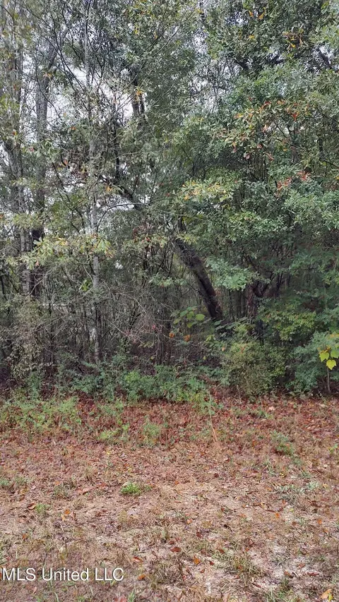 Timberbluff Drive, Lumberton, MS 39455 photo 7