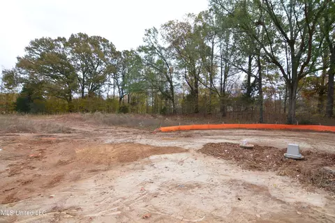 3242 Gracyn Cv, Hernando, MS 38632 photo 8