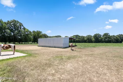 Exterior - 3148 Volley Campbell Rd, Terry, MS 39170 photo 10 of 11