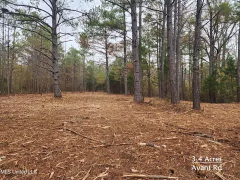 Avant Road, Holly Springs, MS 38635