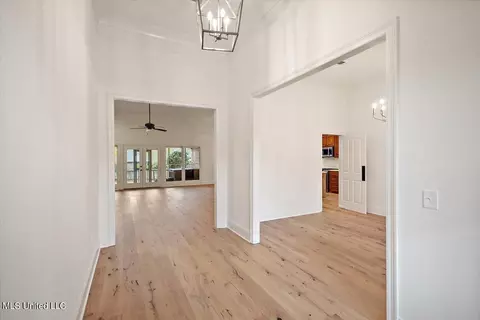 Entry Way - 131 Savannah Bnd, Madison, MS 39110 photo 3 of 4