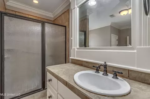 Bath - 105 W Legacy Dr, Brandon, MS 39042 photo 6 of 11