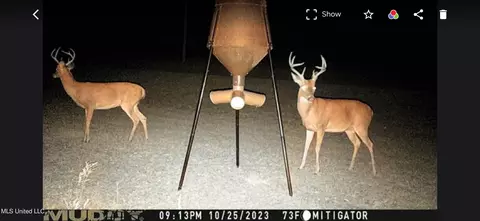 Frank And Ward Mclendon Road, Mendenhall, MS 39114
