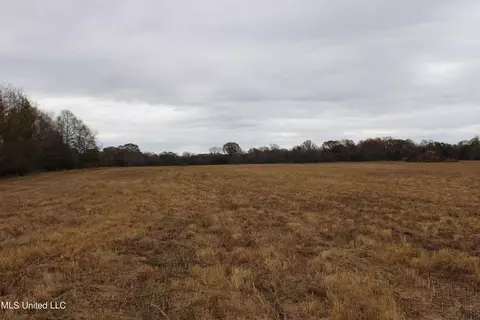 4 Rice Chapel Rd, Lamar, MS 38642