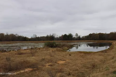 4 Rice Chapel Rd, Lamar, MS 38642 photo 21