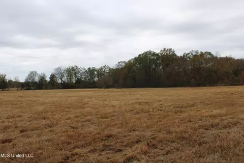 4 Rice Chapel Rd, Lamar, MS 38642 photo 28