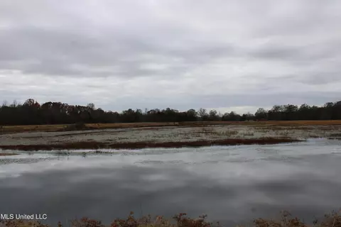 4 Rice Chapel Rd, Lamar, MS 38642 photo 24
