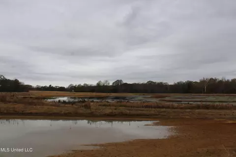 4 Rice Chapel Rd, Lamar, MS 38642 photo 19